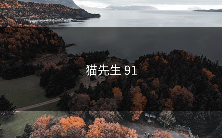 猫先生 91